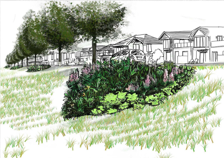 brooklands hand sketch landscape design