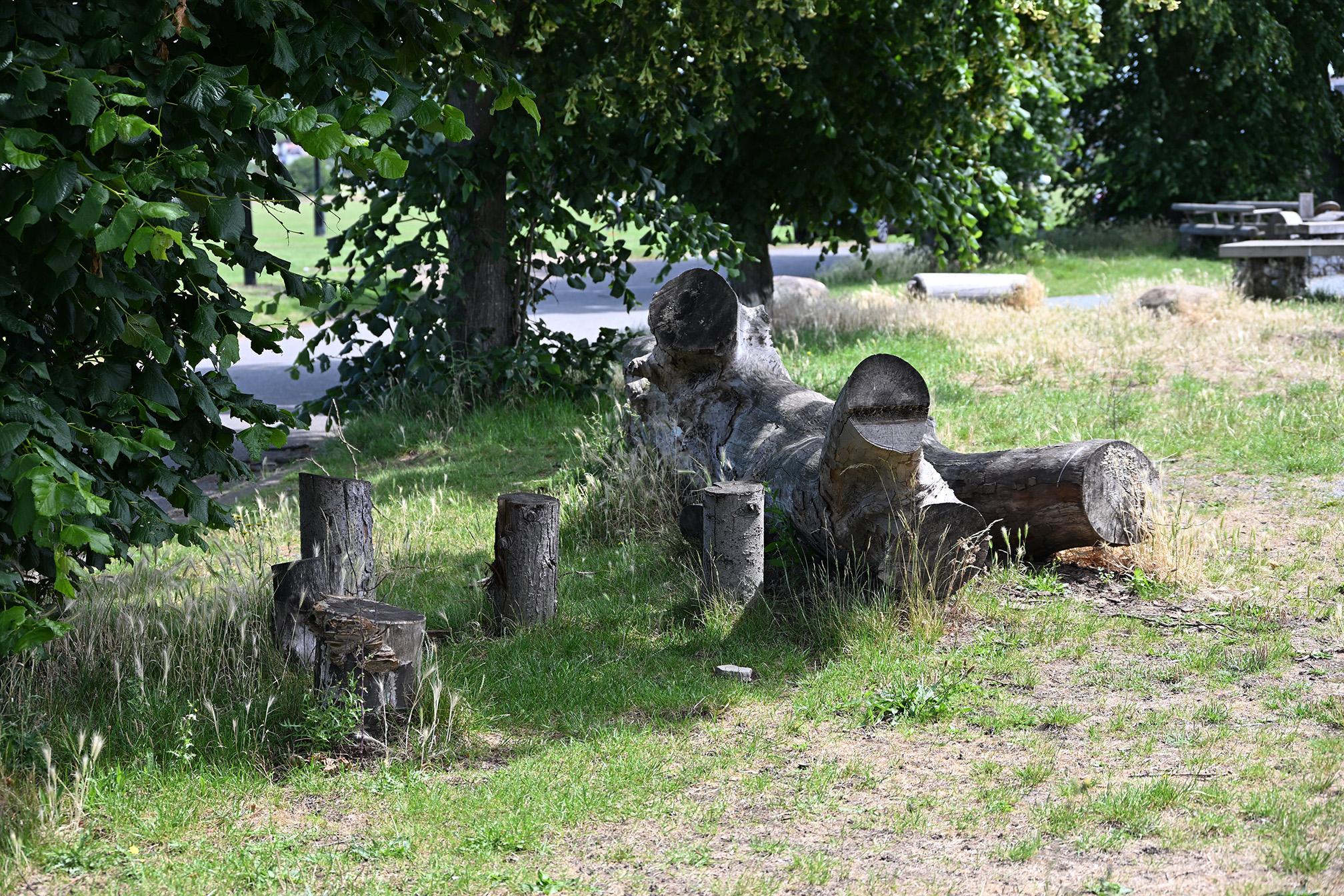 10. Detail - play logs