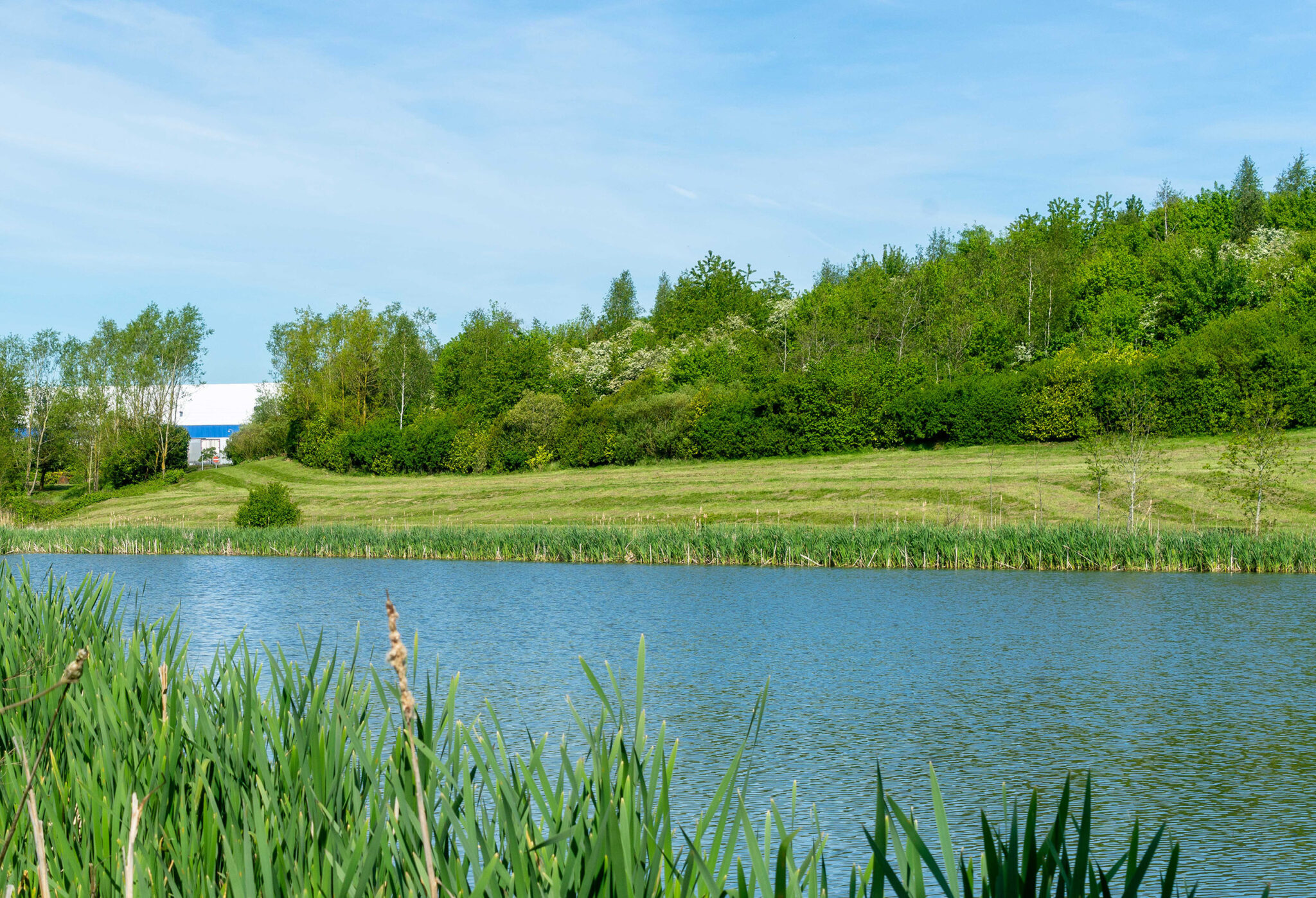 magna park photo