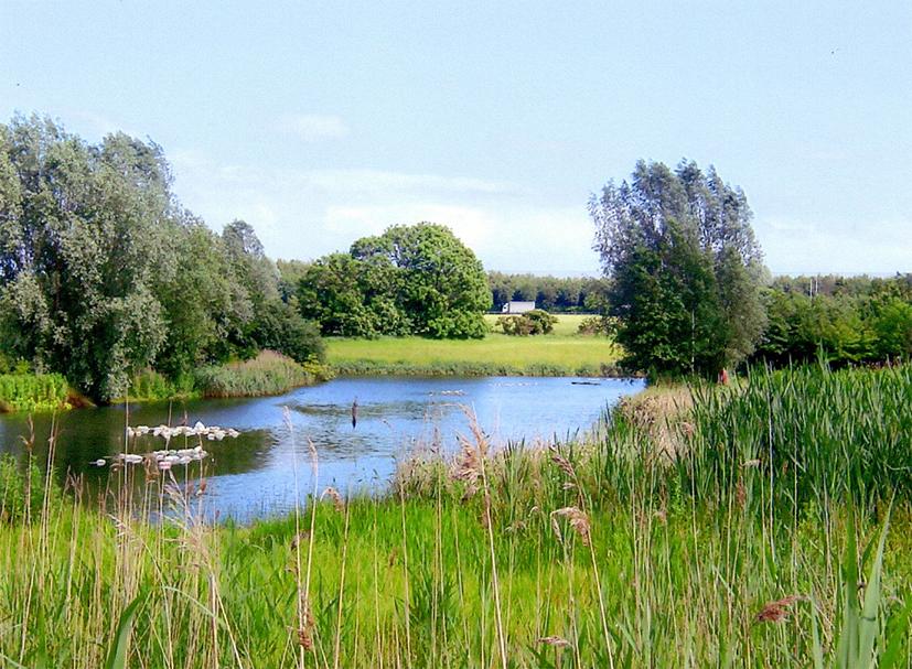 Photo of distribution park at Magna Park Lutterworth