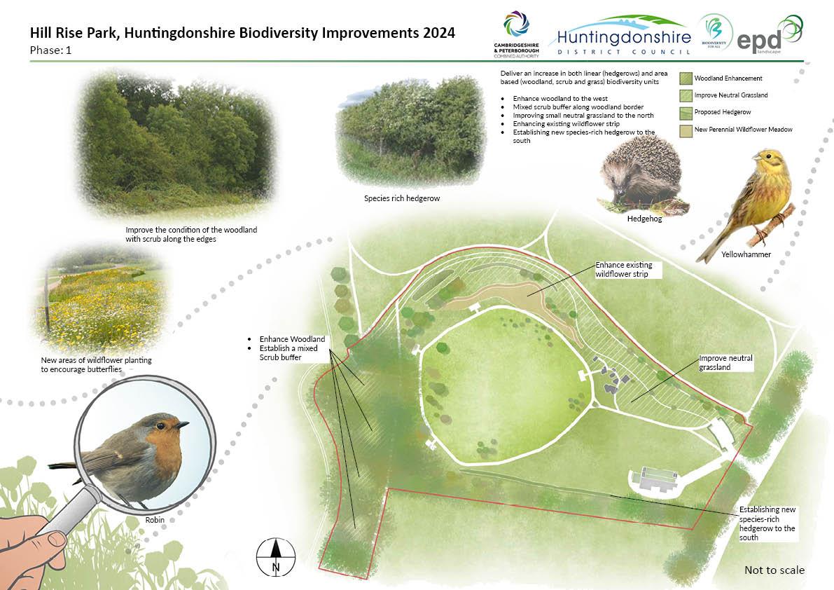 Hill Rise Park Huntingdonshire biodiversity improvements phase 1 site plan presentation board