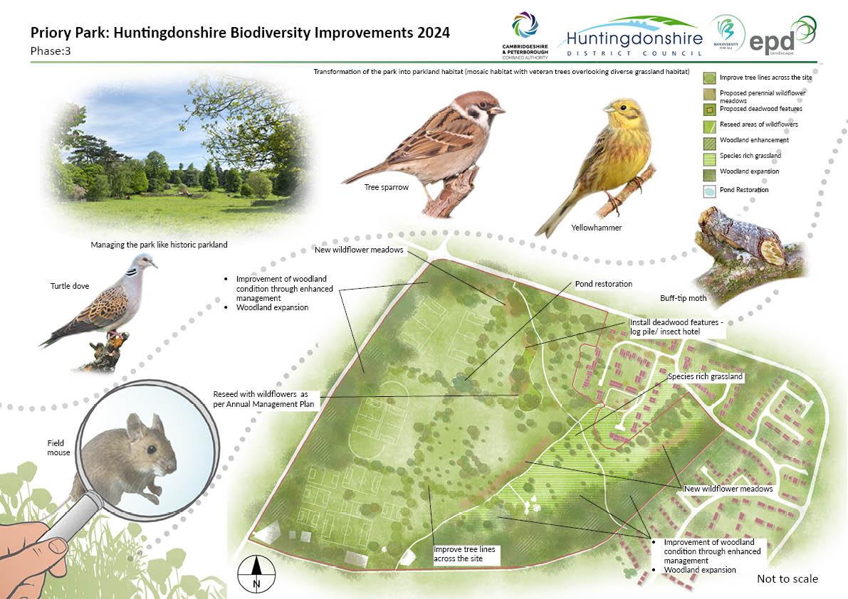 Priory Park Huntingdonshire biodiversity improvements phase 3 site plan presentation board