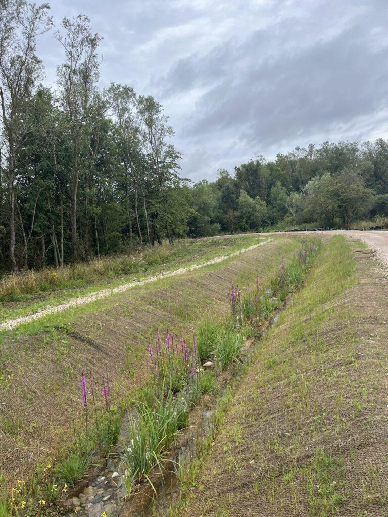 Ashby landscape drainage ditch Cover