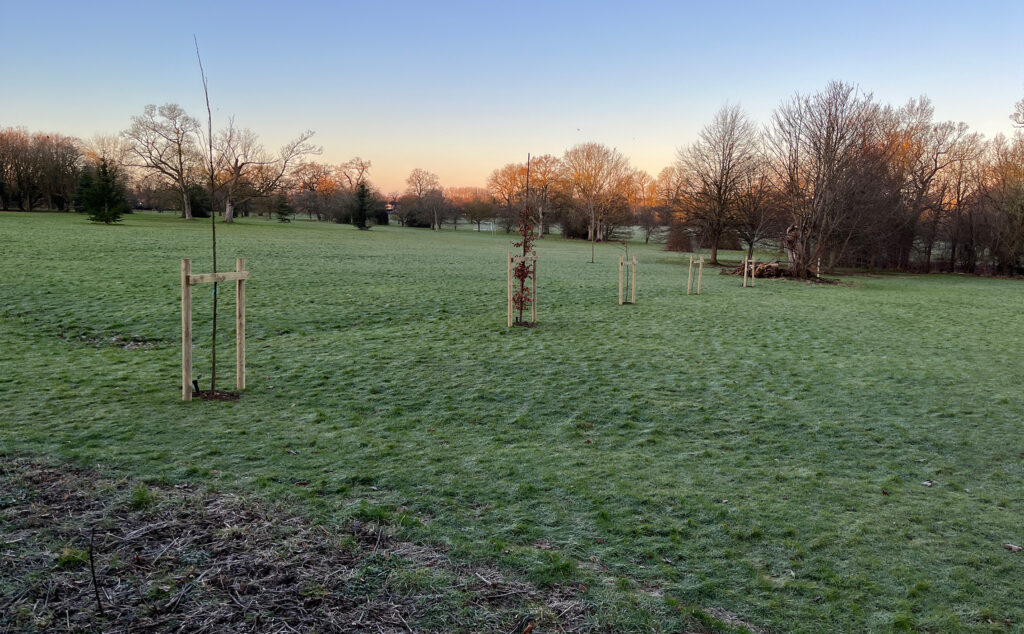 Huntingdonshire Biodiversity Improvements