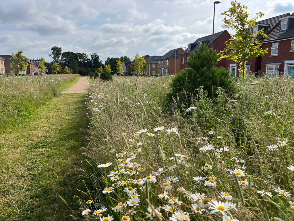Brooklands Meadows Park