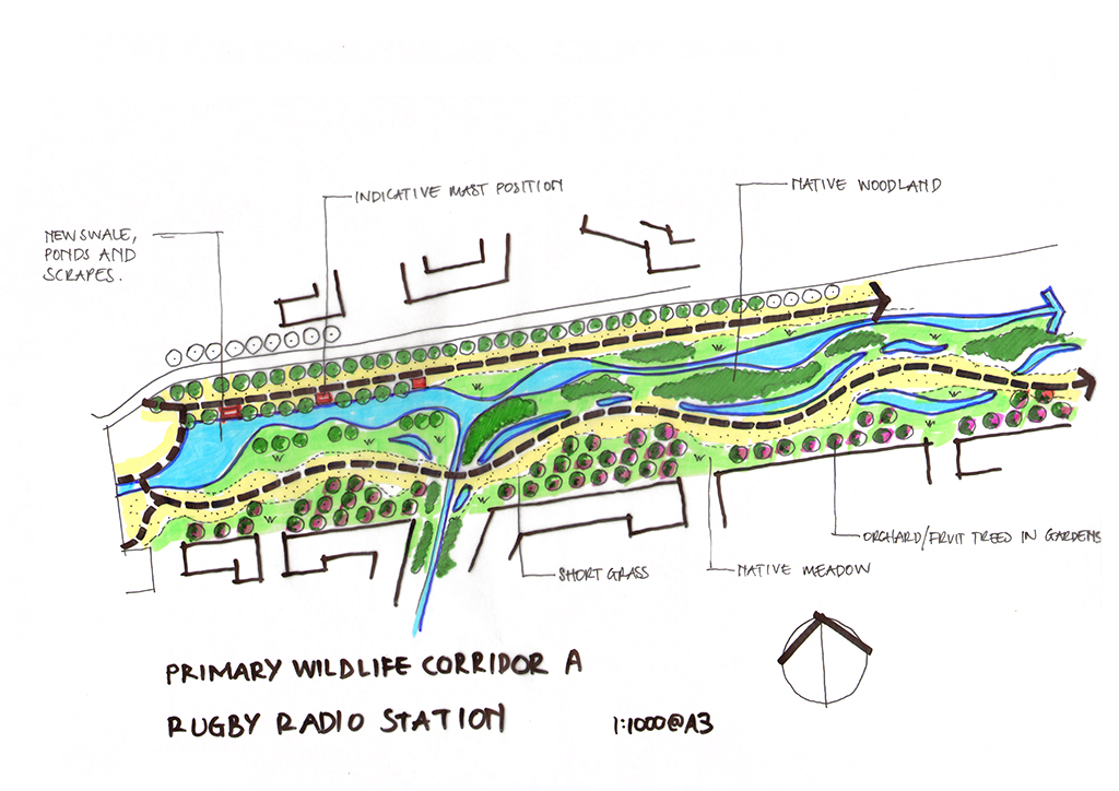 rugby green wildlife plan