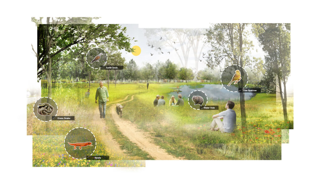 Huntingdonshire Biodiversity Improvements