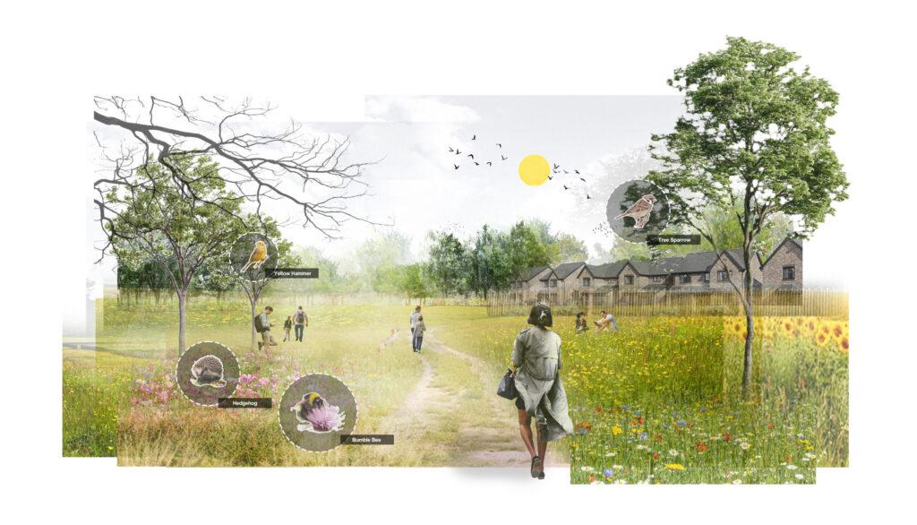 Huntingdonshire Biodiversity Improvements