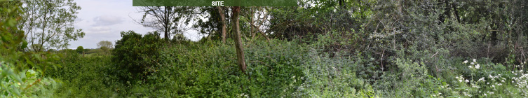 lutterworth viewpoint plan