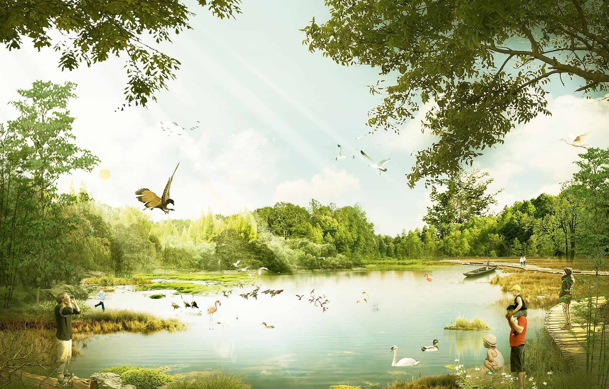3. Pond Environment Rendering