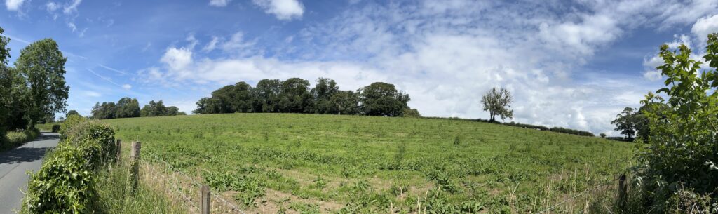 Halton image 3