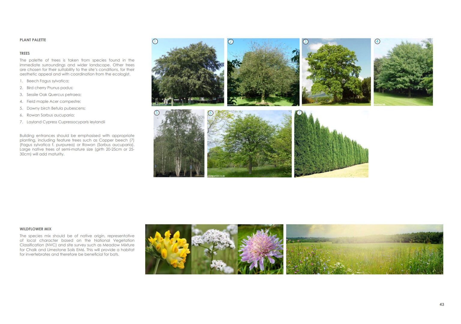plant palette page