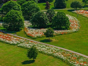 Aerial view of wildflower meadow planting for Huntingdonshire biodiversity improvements in Priory Park