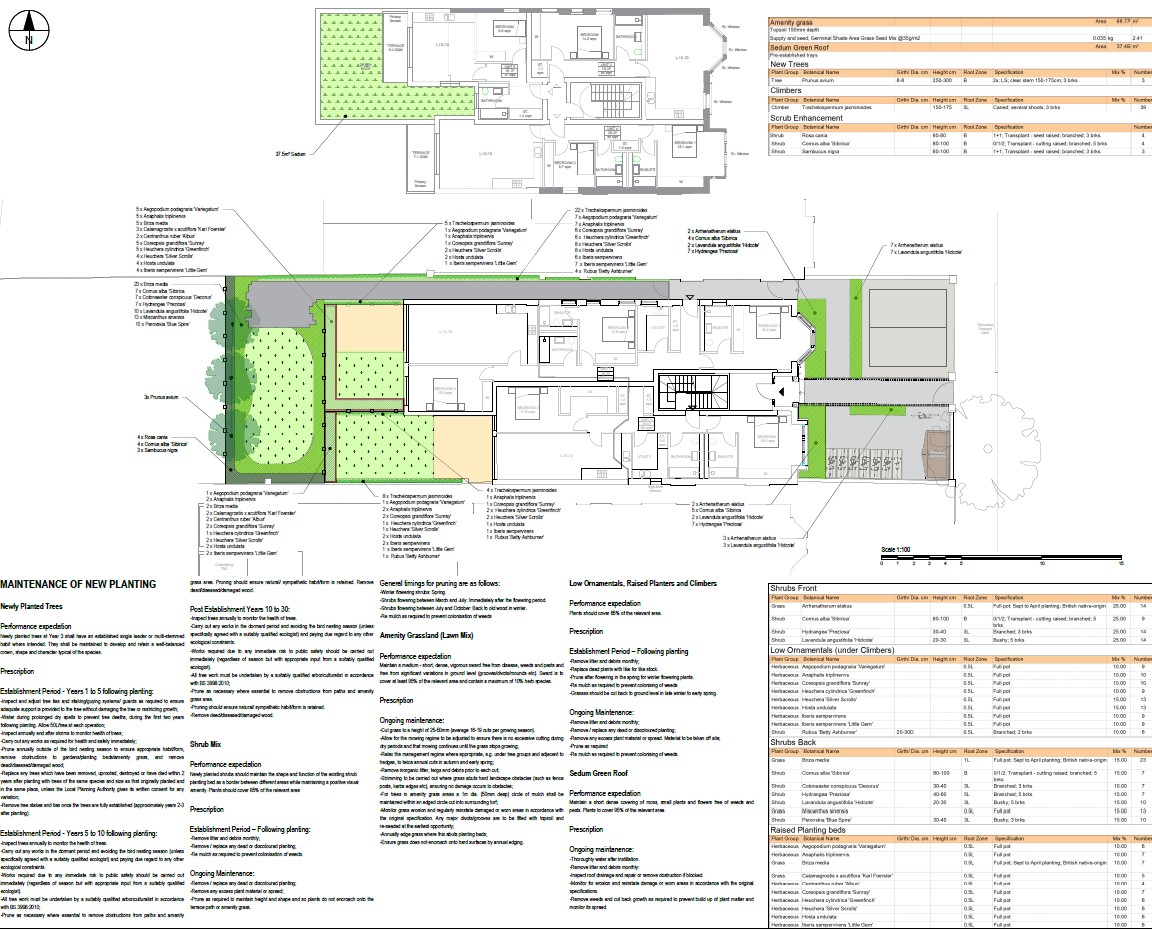 gordon road soft landscape plan