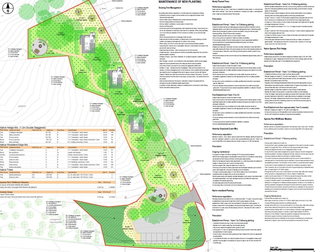 rotherskye soft landscape plan