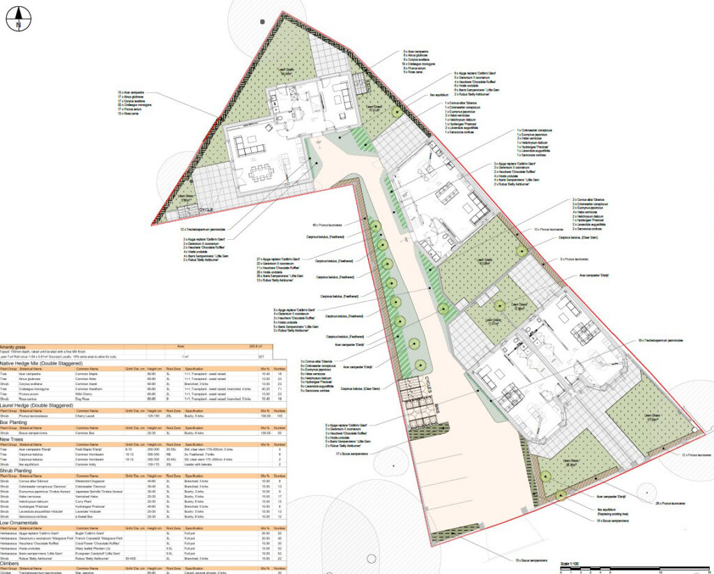 Planting Design at Louisa Court, Ealing