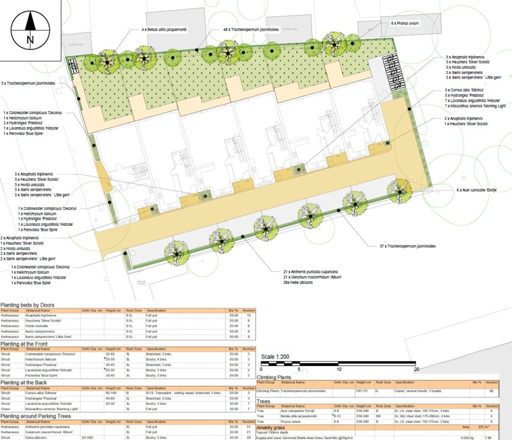 soft landscape plan